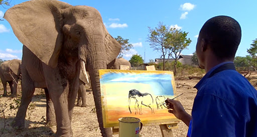 Elephant Art — Safari & Lunch/Snacks