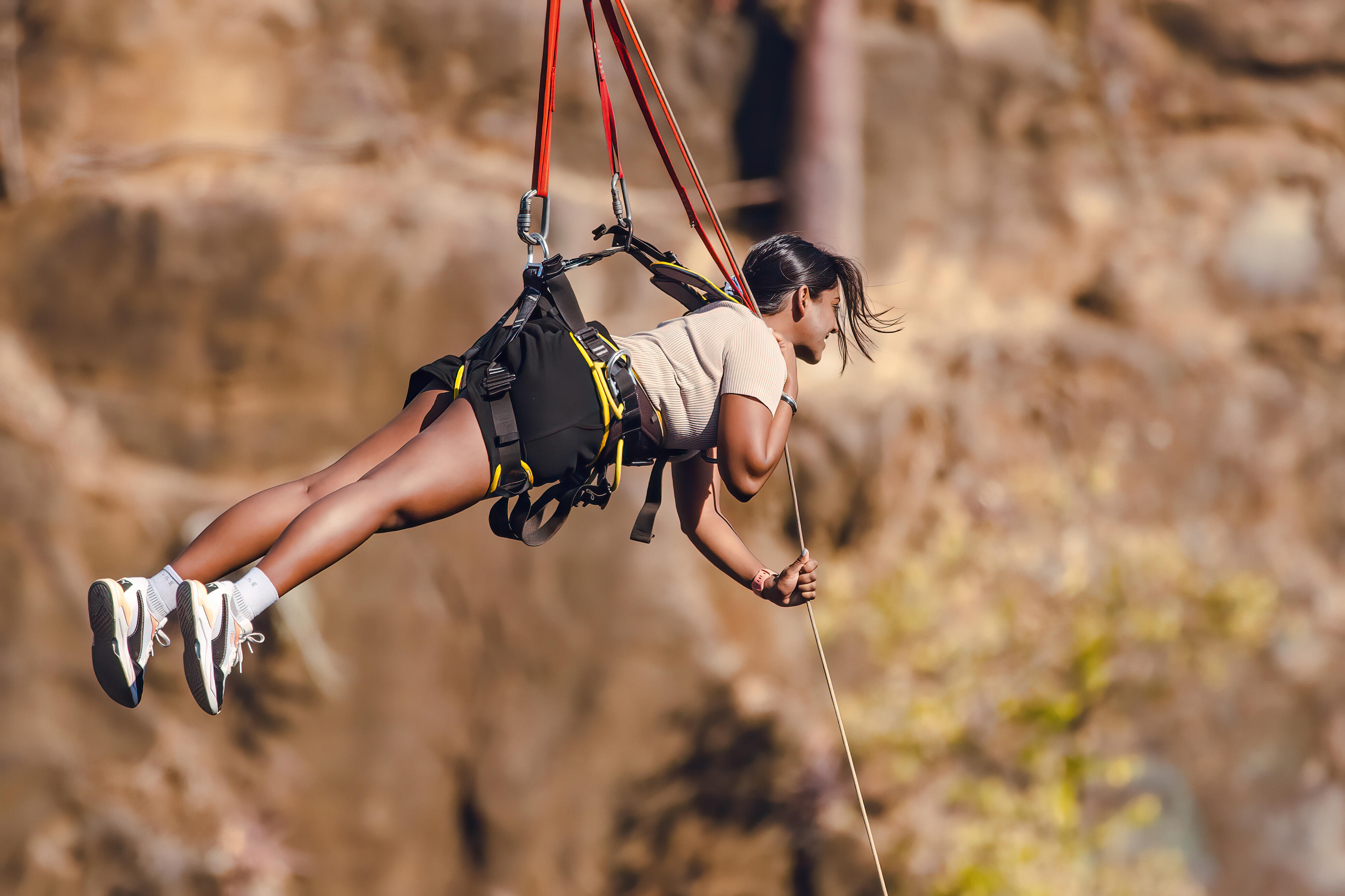Flying Fox