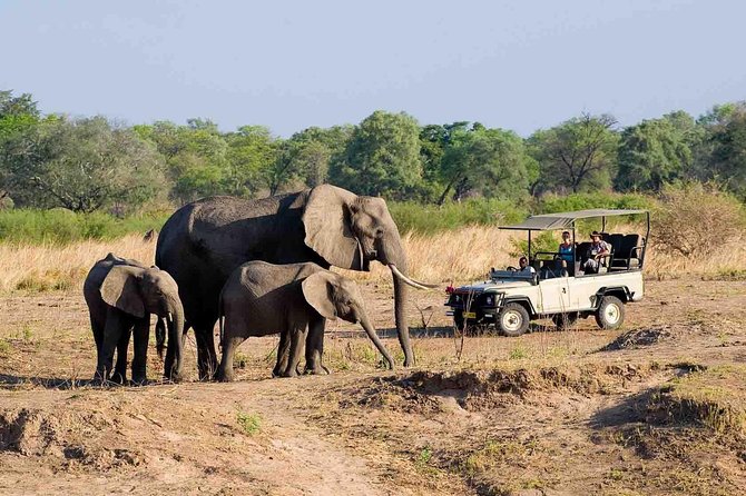 Game Drive (AM or PM) — Private Reserve