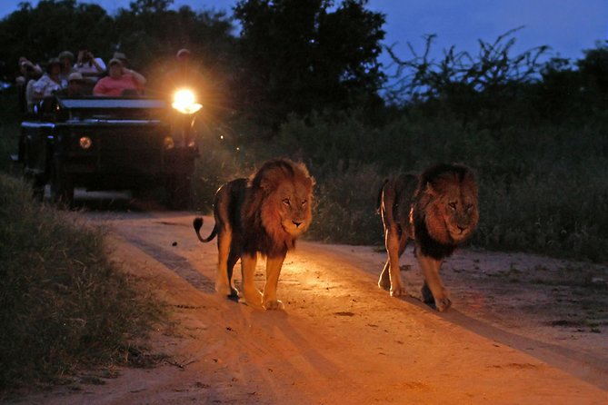 Night Drive / Bush Dinner — Private Reserve