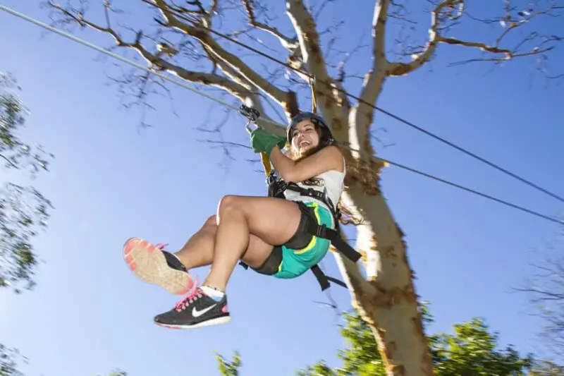 Canopy Tour