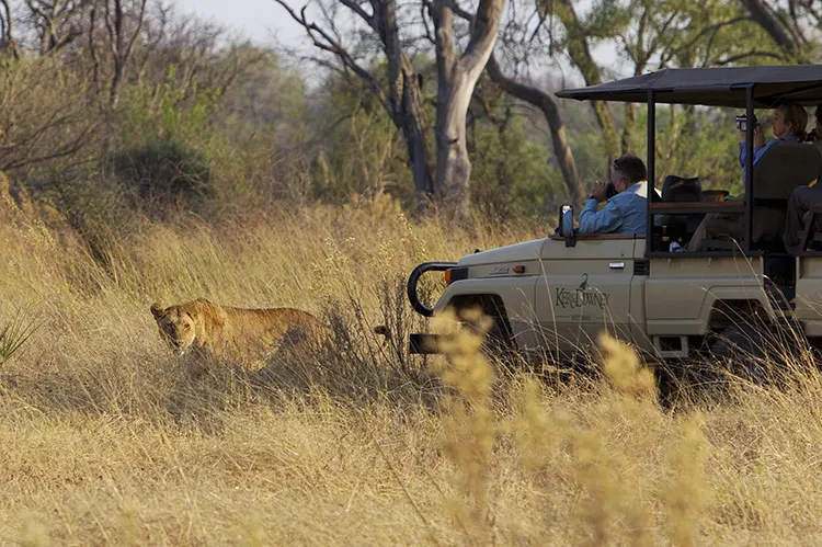 Game Drive (AM or PM) — Zambezi N.P.