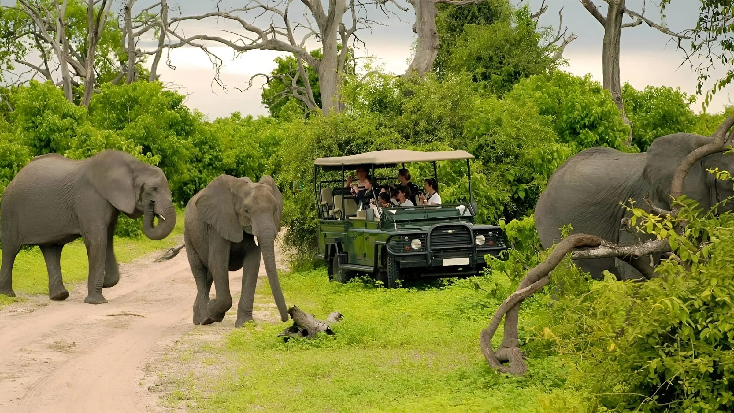 Bubbles Tours & Safaris