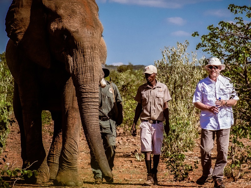 Safaris