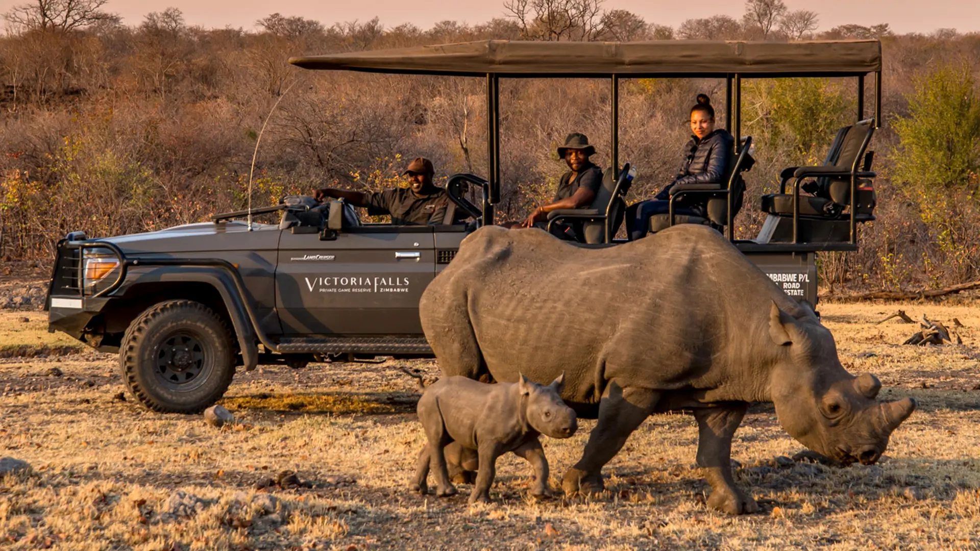 Safari game drive